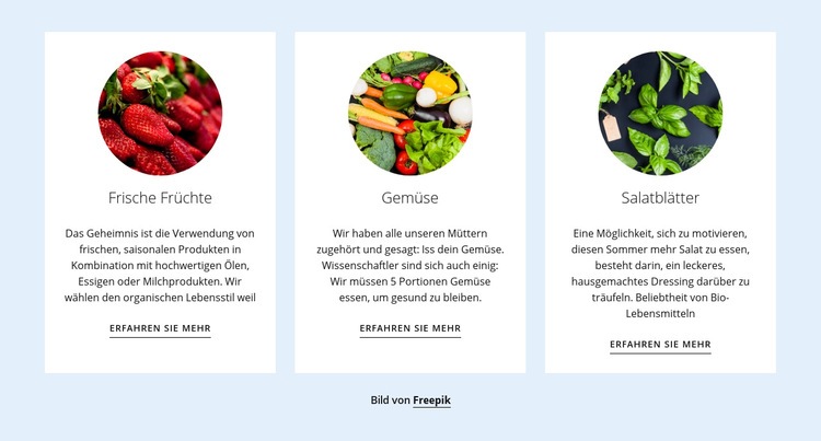 Neue landwirtschaftliche Produkte HTML Website Builder