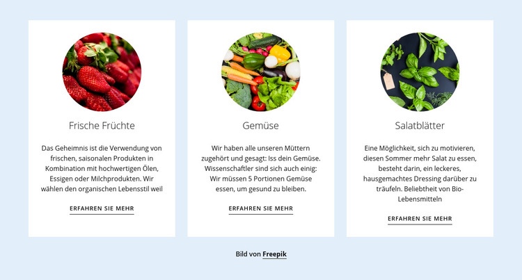 Neue landwirtschaftliche Produkte HTML5-Vorlage
