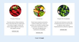 Diseño De Sitio Web Para Nuevos Productos Agrícolas