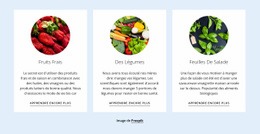 Conception De Site Web Pour Nouveaux Produits Agricoles