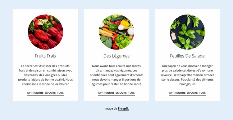 Nouveaux produits agricoles Créateur de site Web HTML