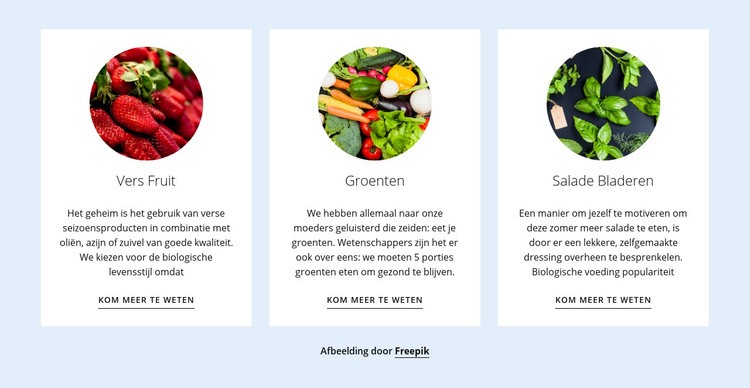 Nieuwe landbouwproducten Website mockup