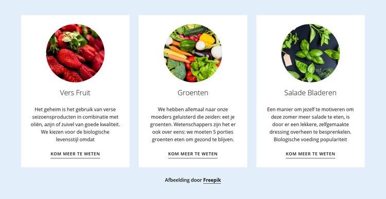 Nieuwe landbouwproducten Website ontwerp