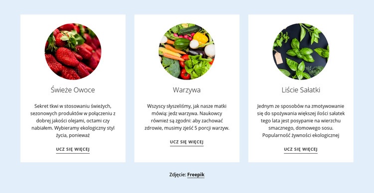 Nowe produkty rolne Projekt strony internetowej