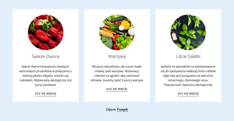 Nowe produkty rolne Szablon witryny sieci Web