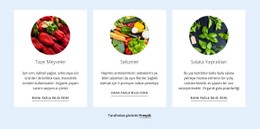 Yeni Tarım Ürünleri Basit CSS Şablonu