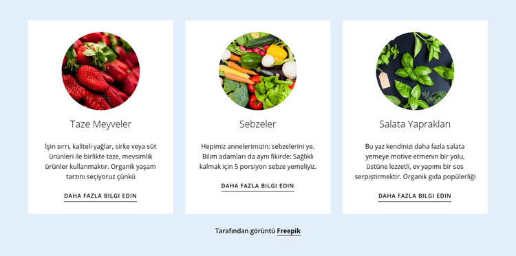 Yeni tarım ürünleri HTML Şablonu