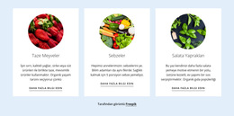 Yeni Tarım Ürünleri Için Web Sitesi Düzeni