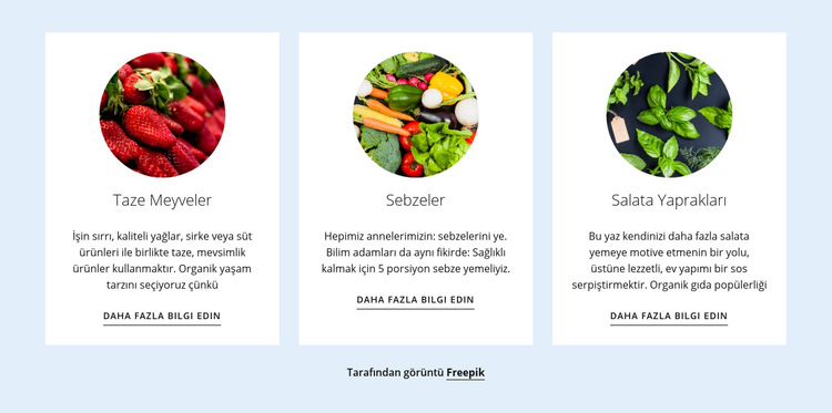 Yeni tarım ürünleri Web Sitesi Şablonu