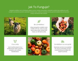 Jak Funguje Farma? – Šablony Webových Stránek