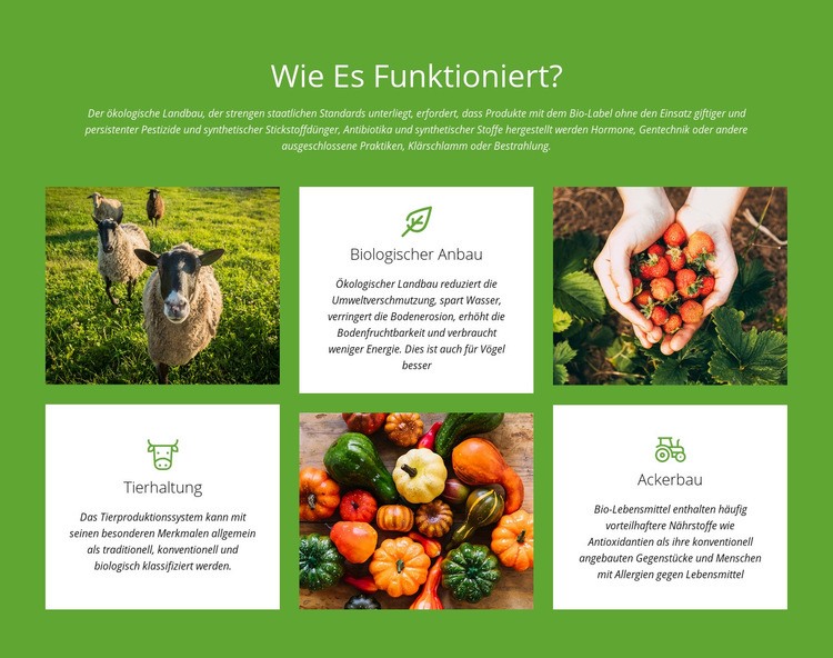 Wie funktioniert ein Bauernhof? Website-Modell