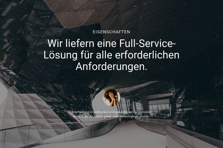 Liefern Sie eine Full-Service-Lösung WordPress-Theme