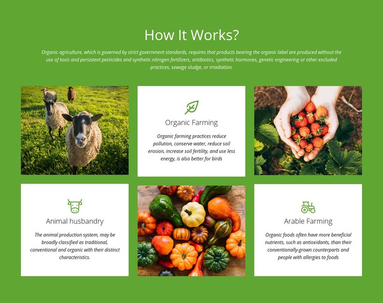 How does a farm work? Elementor Template Alternative
