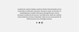 Impresionante Creador De Sitios Web Para Iconos Sociales De Anuncios De Texto