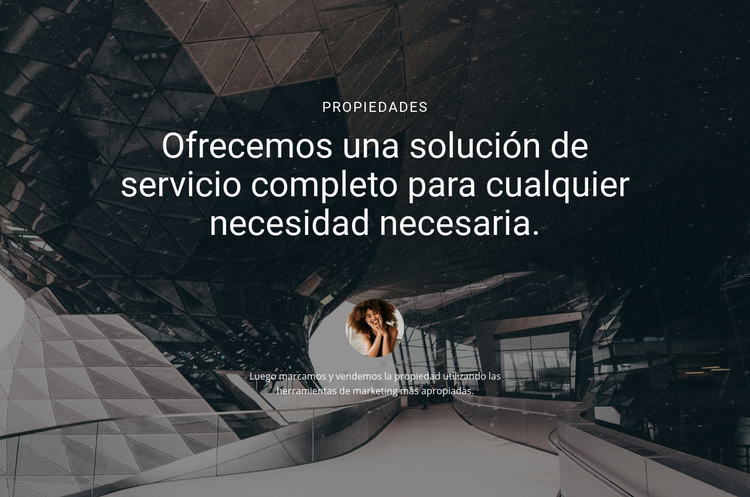 Ofrezca una solución de servicio completo Tema de WordPress