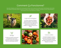 Conception De Sites Web Polyvalents Pour Comment Fonctionne Une Ferme?