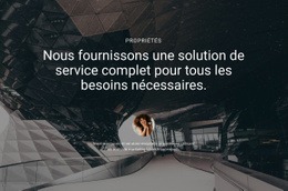 Offrez Une Solution Complète - Conception De Site Web Simple