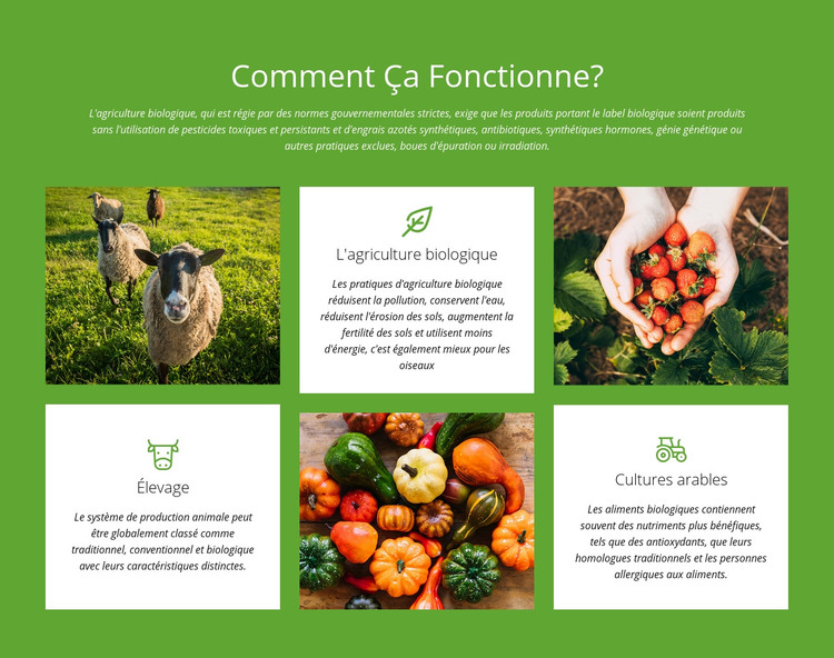 Comment fonctionne une ferme? Modèle HTML