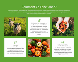 Comment Fonctionne Une Ferme? - Modèle Joomla Personnalisé