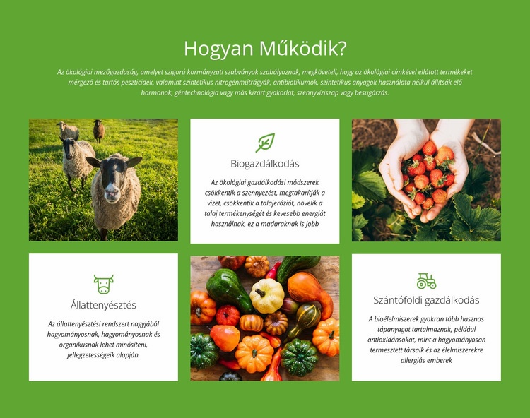 Hogyan működik egy farm? CSS sablon