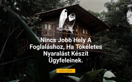 Ingyenes CSS Nyaralás Ügyfelei Számára Számára