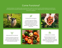 Come Funziona Un'Azienda Agricola? - Pagina Di Destinazione Personalizzata