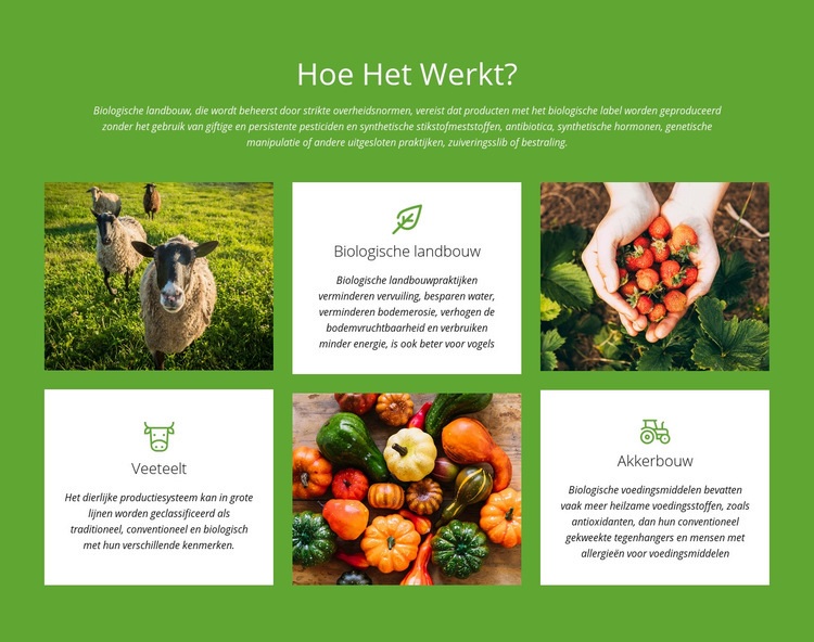 Hoe werkt een boerderij? Bestemmingspagina