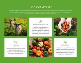 Hoe Werkt Een Boerderij? - Multifunctioneel WooCommerce-Thema