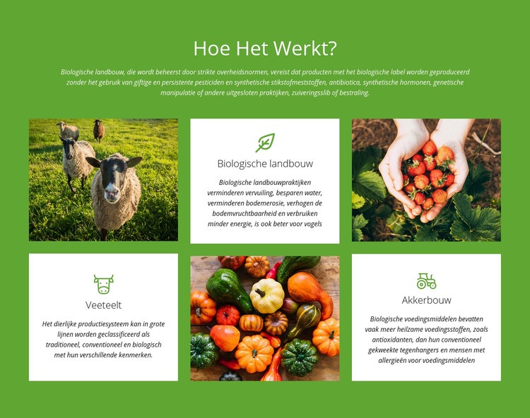 Hoe werkt een boerderij? Website ontwerp