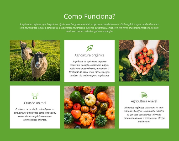 Como funciona uma fazenda? Design do site