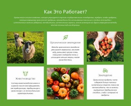Как Устроена Ферма? – Профессиональный Шаблон HTML5