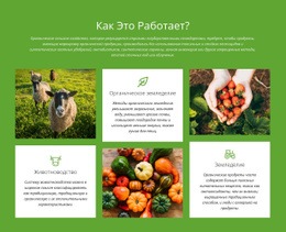 Как Устроена Ферма? — Пользовательский Шаблон Joomla