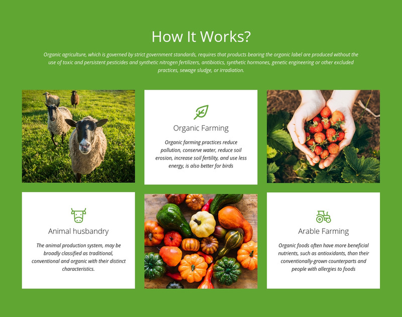 How does a farm work? Wix Template Alternative