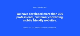 Mobile Friendly Websites