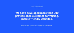 Mobile Friendly Websites