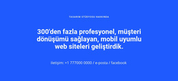 Mobil Uyumlu Web Siteleri Için En Yaratıcı WordPress Teması