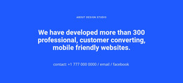 Mobile Friendly Websites