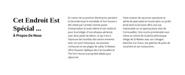 3 Colonnes - Modèle De Site Web Professionnel Premium