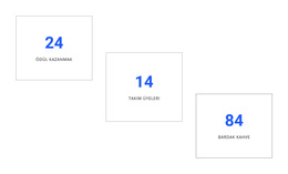 Yaratıcı Sayaç Tasarımı - WordPress Teması