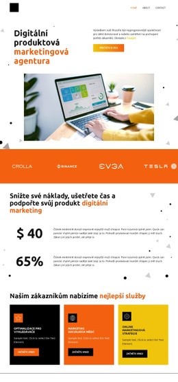 Marketingová Agentura Pro Digitální Produkty – Vlastní Motiv WordPress