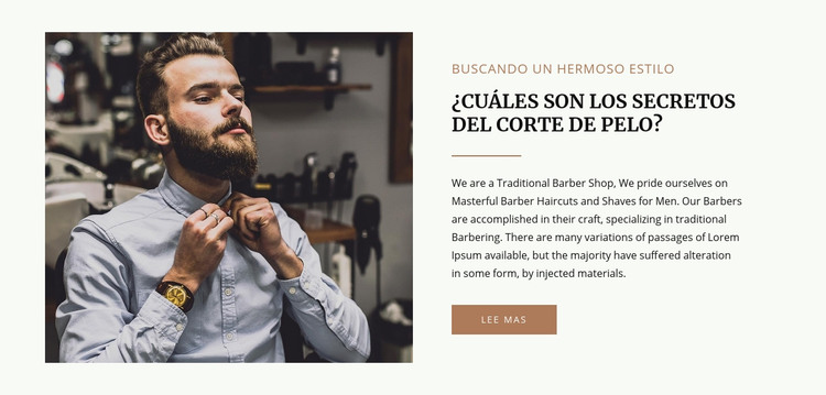 Moda y cuidado del cabello Plantilla HTML