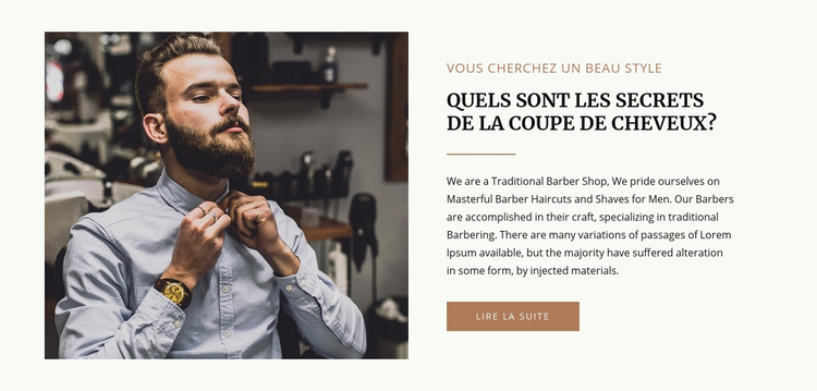 Mode et soins capillaires Modèle de site Web