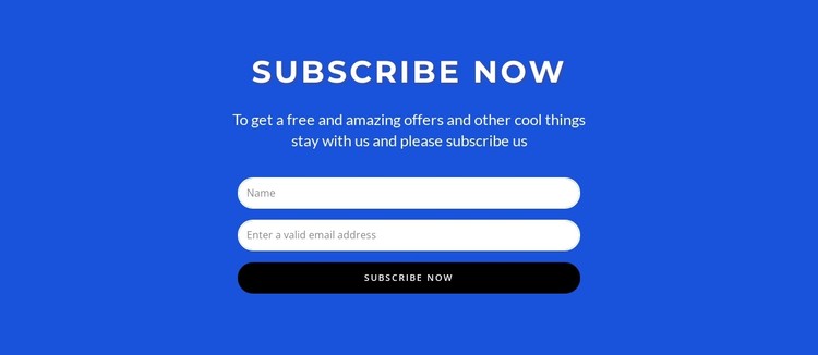 Subcribe now form CSS Template