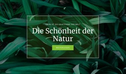 Geheimnis Der Natur