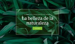 Secreto De La Naturaleza