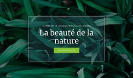 Secret De La Nature - Modèle Gratuit