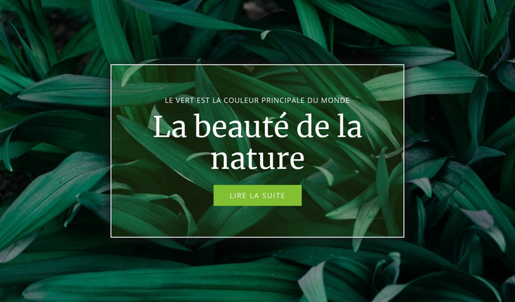 Secret de la nature Modèle Joomla