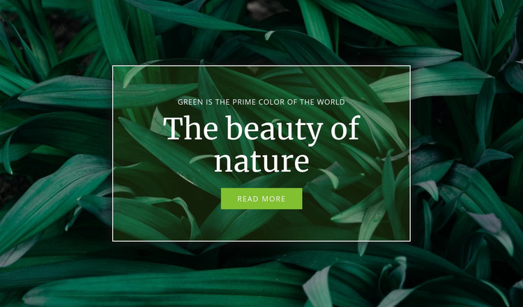 Secret of nature Homepage Design