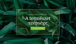 A Természet Titka - Ingyenes Sablon