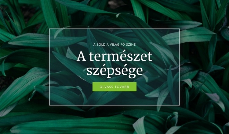 A természet titka WordPress Téma